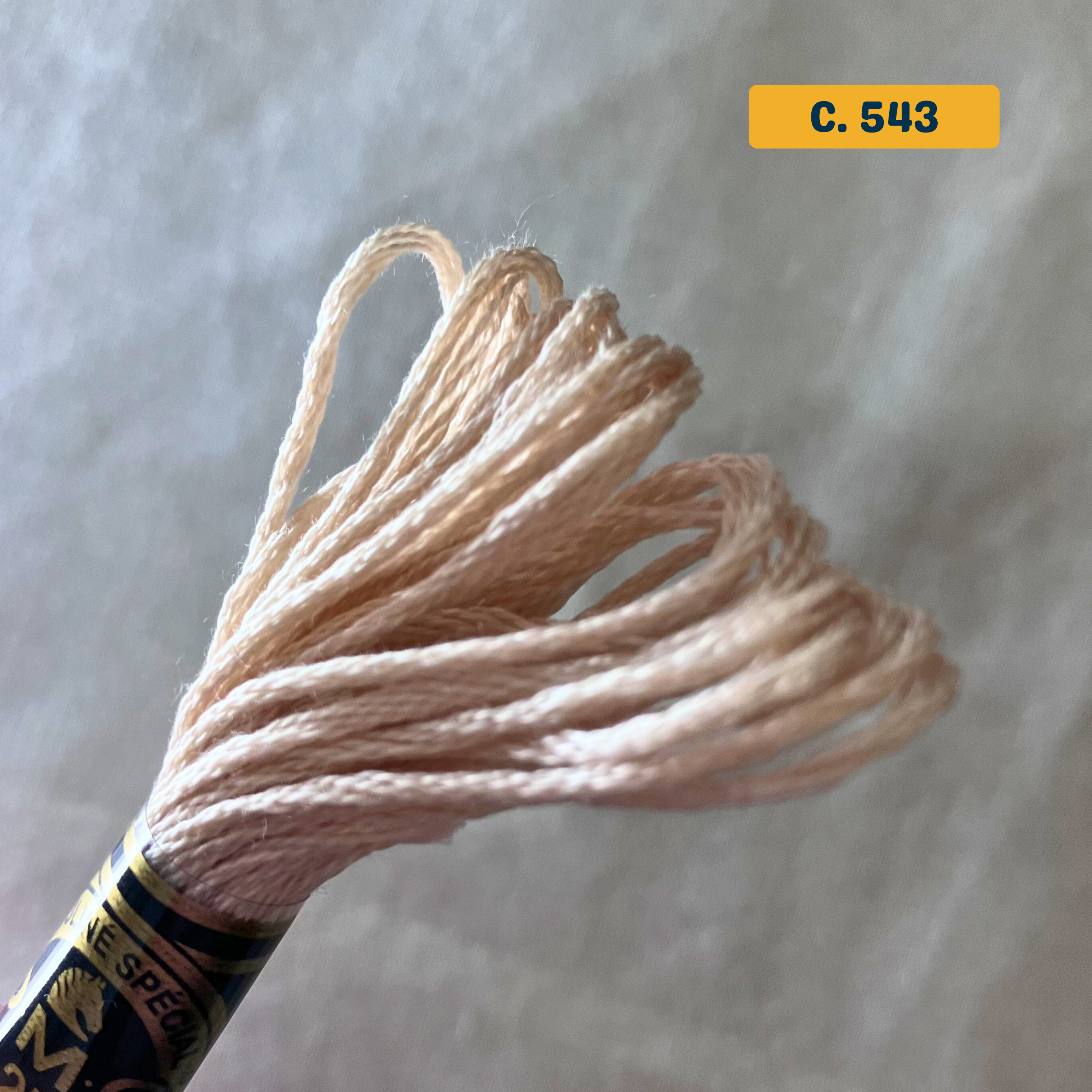 6-Strand Cotton Floss - DMC