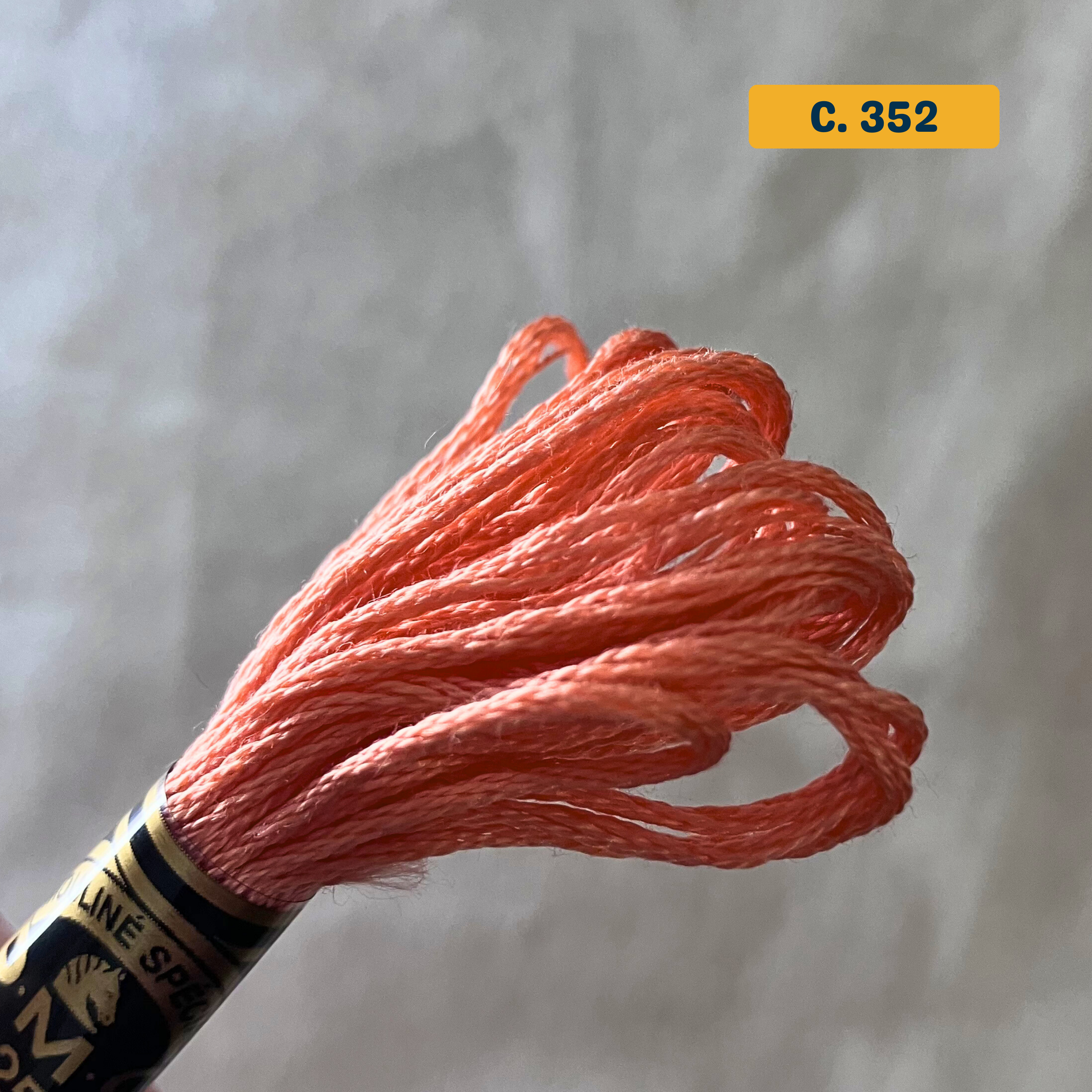 6-Strand Cotton Floss - DMC