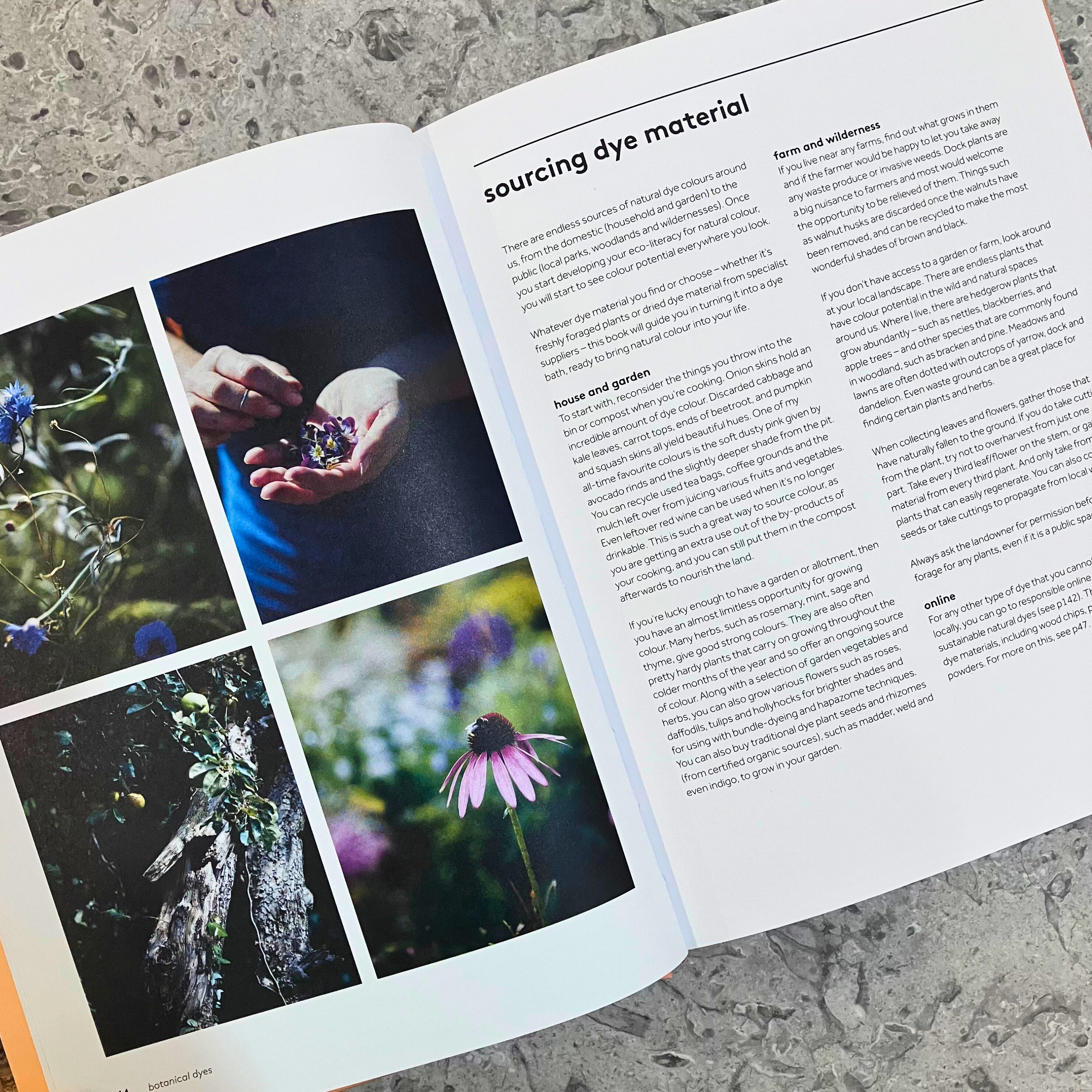 Botanical Dyes