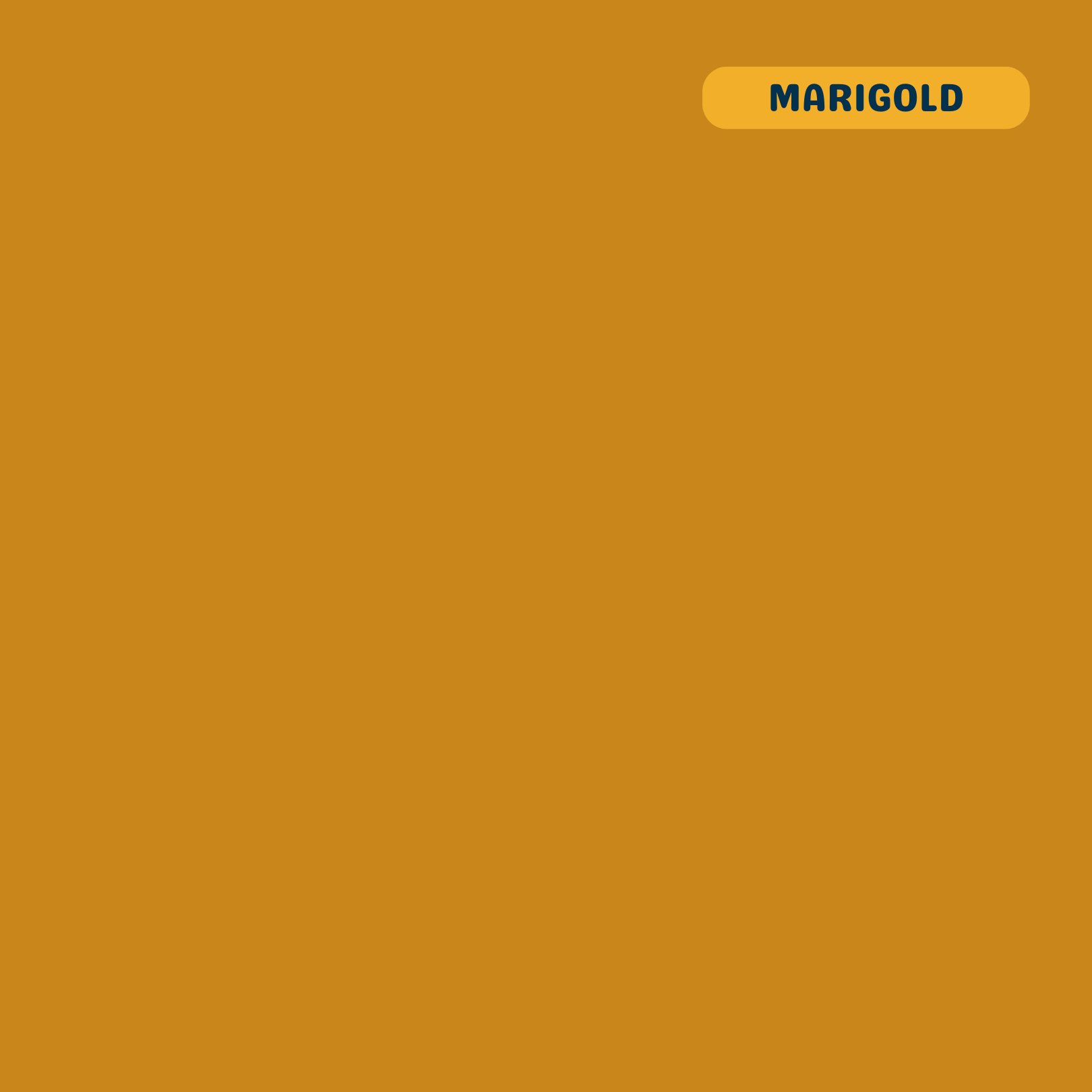 Solid marigold (yellow-orange) quilting cotton — Andover Century Solids. 44/45in.