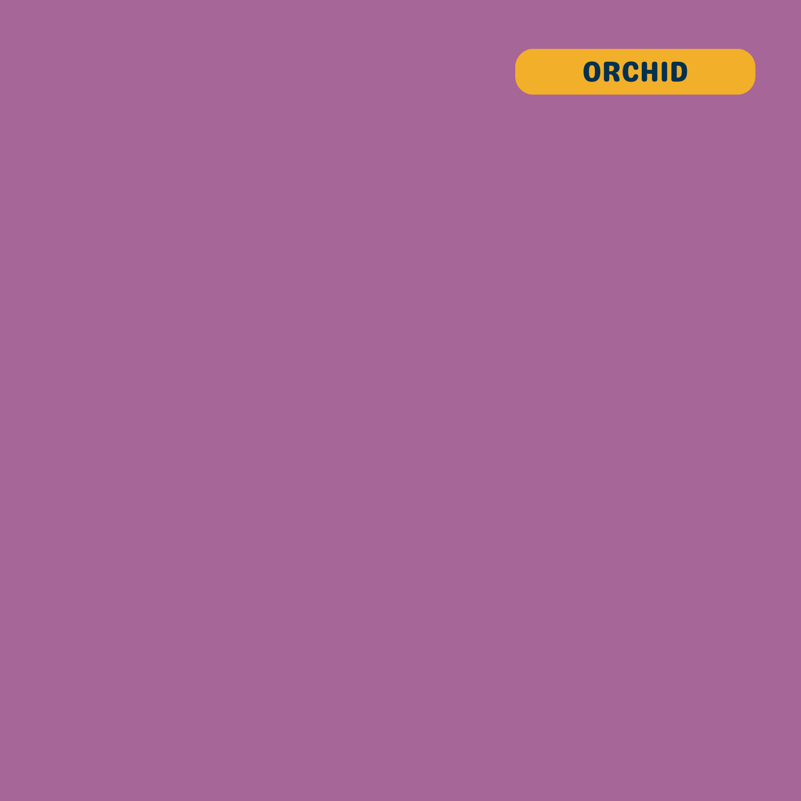 Solid orchid (purple) quilting cotton — Andover Century Solids. 44/45in.