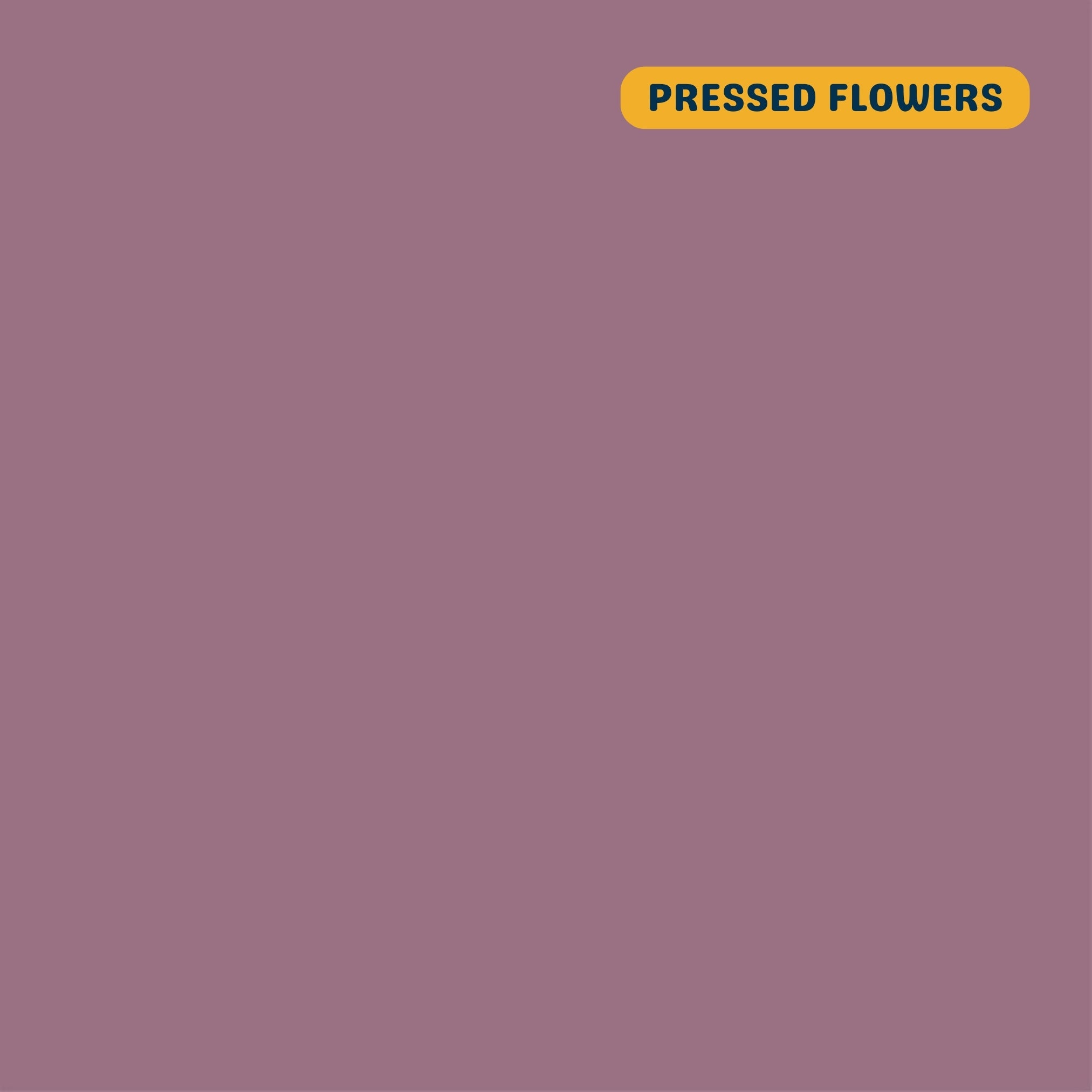 Solid pressed flower (light pink-purple) quilting cotton — Andover Century Solids. 44/45in.
