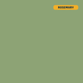 Solid rosemary (light green) quilting cotton — Andover Century Solids. 44/45in.