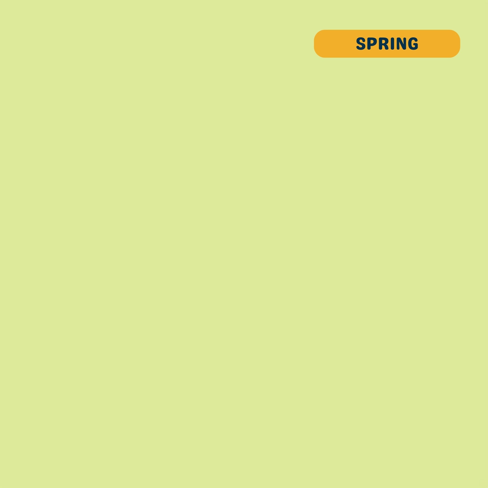 Solid spring (pastel green) quilting cotton — Andover Century Solids. 44/45in.