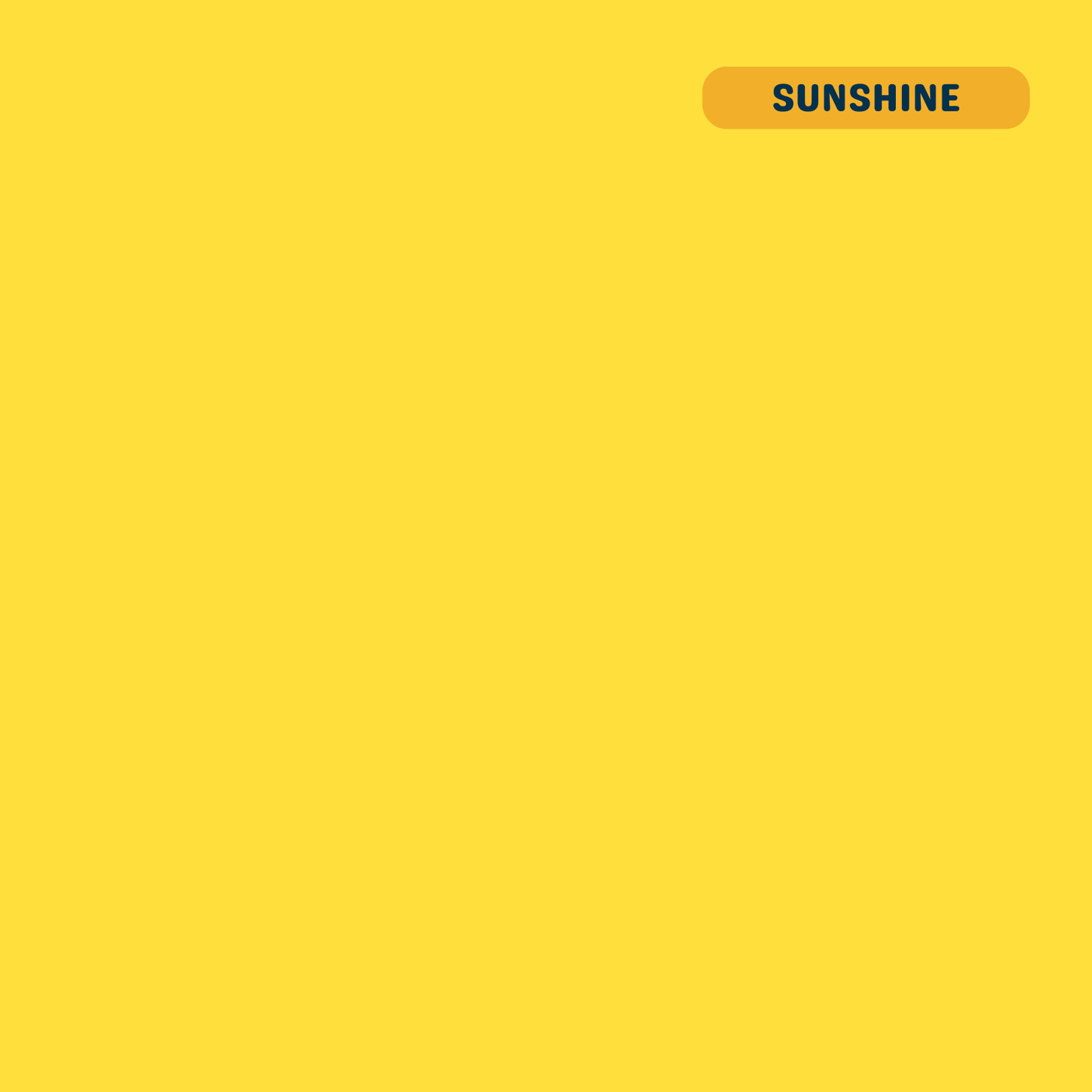 Solid sunshine (yellow) quilting cotton — Andover Century Solids. 44/45in.