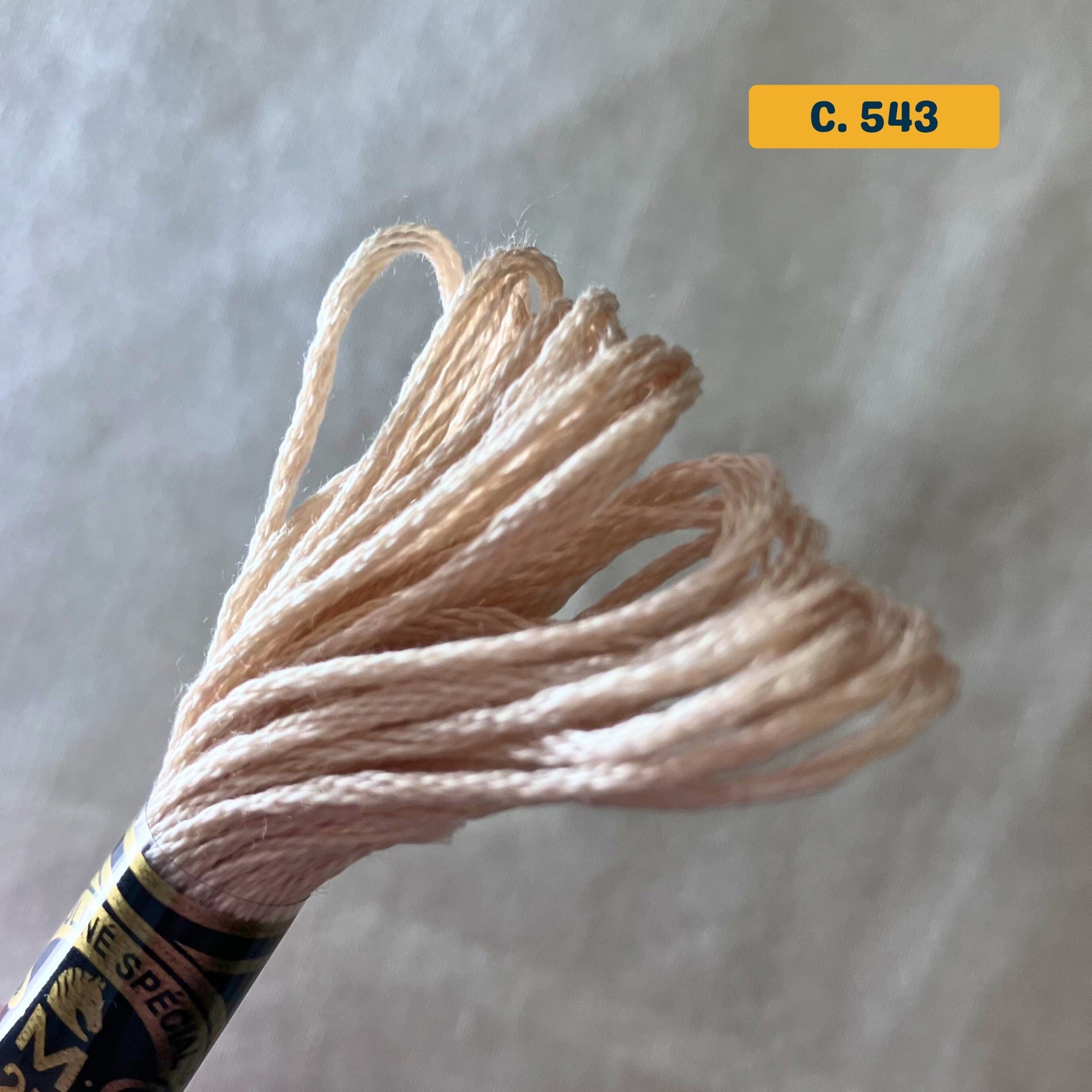 DMC 6-Strand Cotton Embroidery Floss – 543 Cream-Beige – 8m skein, 100% Egyptian cotton. Fabric background (blurred).
