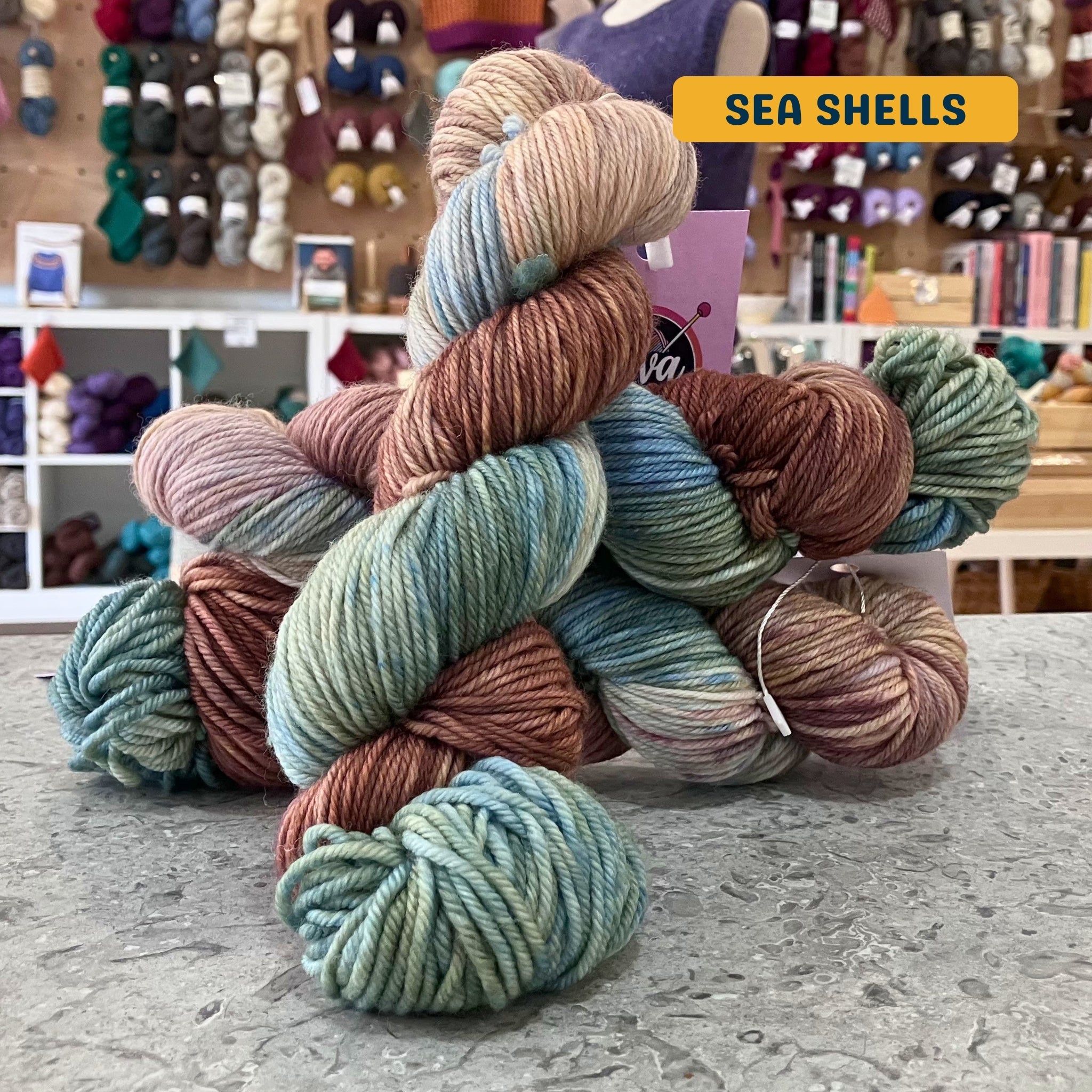 100g variegated pink, blue, green (sea shells) hand-dyed SW merino worsted yarn, 'Nova Knits Worsted', craft shop background (blurred)