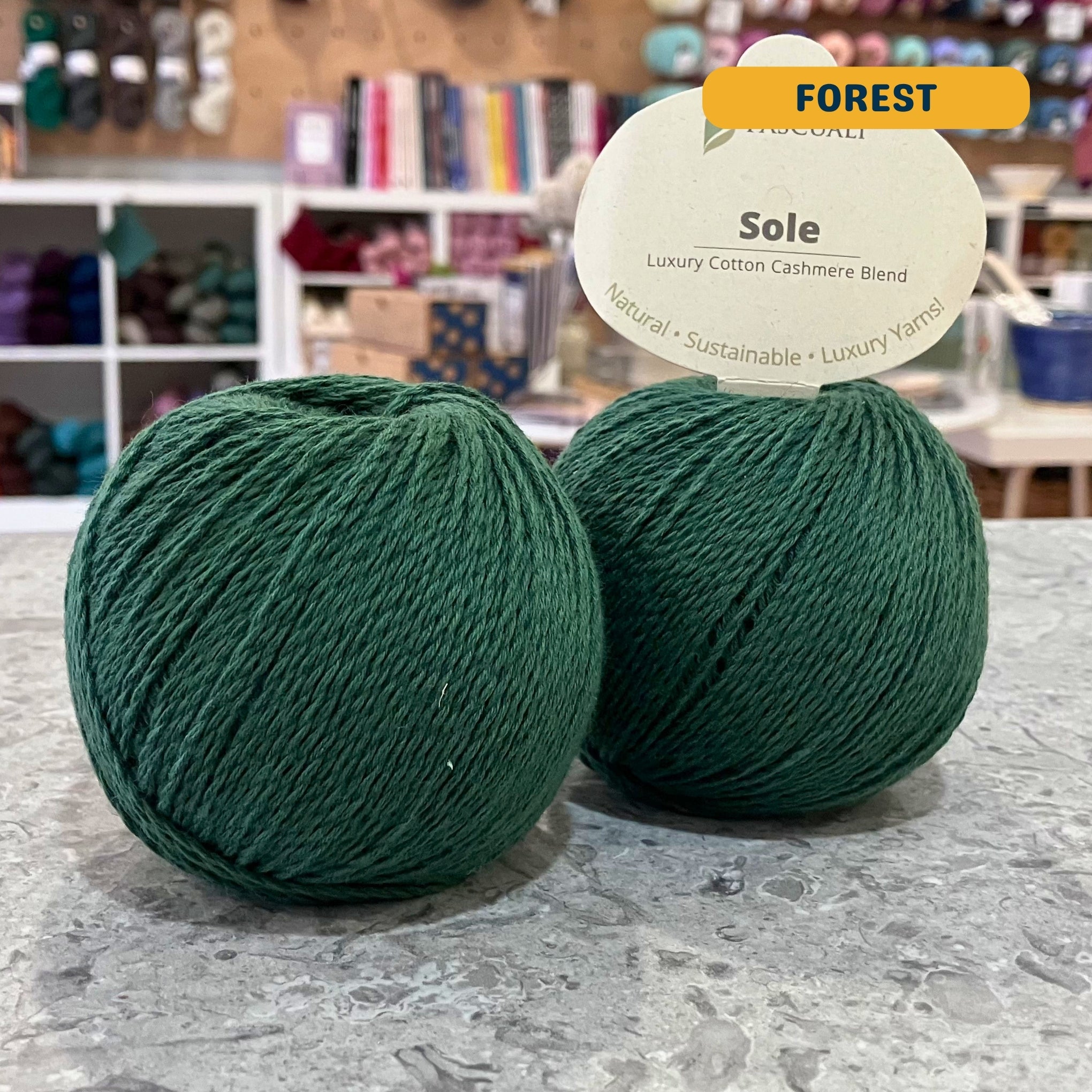 50g dark green (forest) cotton & cashmere sport yarn, 'Pascuali Sole Luxury Cotton Cashmere Blend' label visible, craft shop background (blurred)