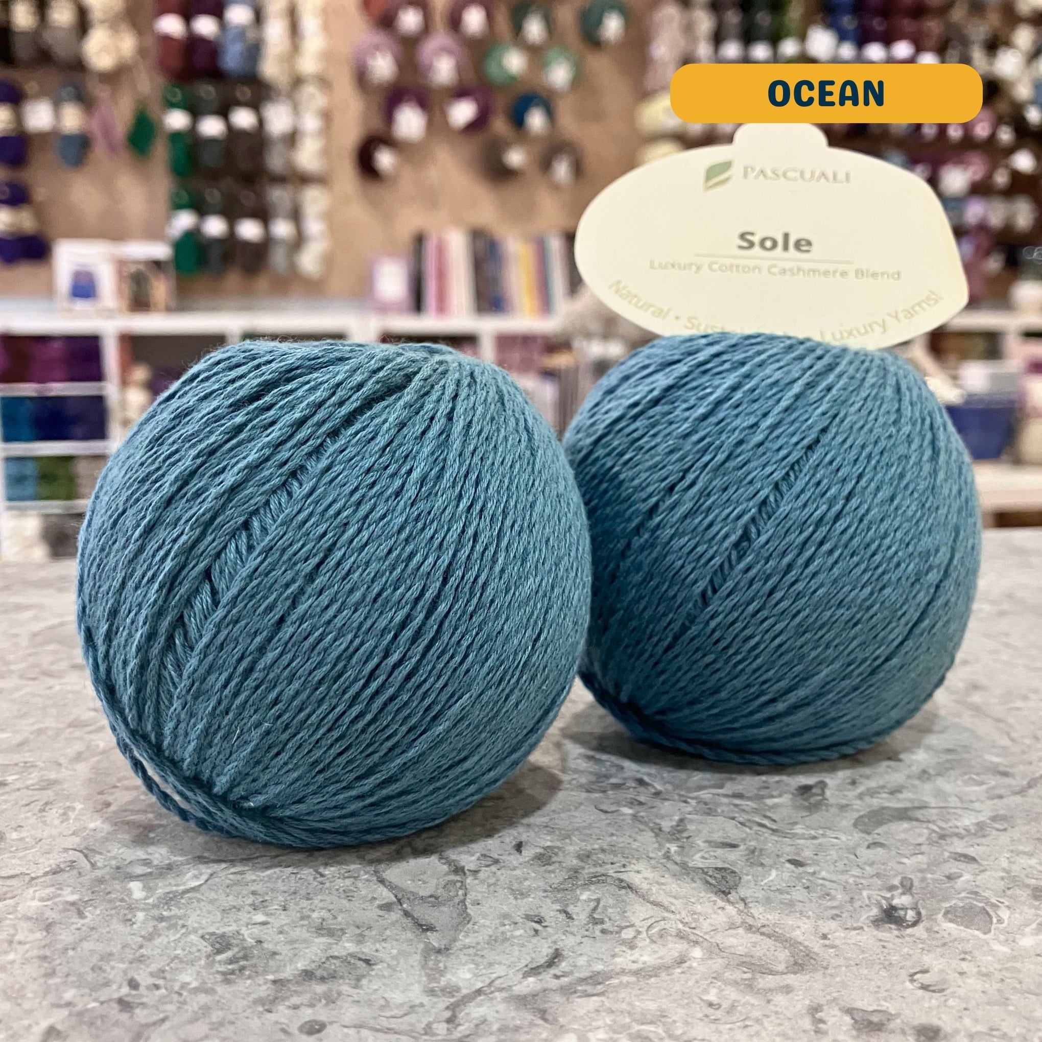 50g teal (ocean) cotton & cashmere sport yarn, 'Pascuali Sole Luxury Cotton Cashmere Blend' label visible, craft shop background (blurred)