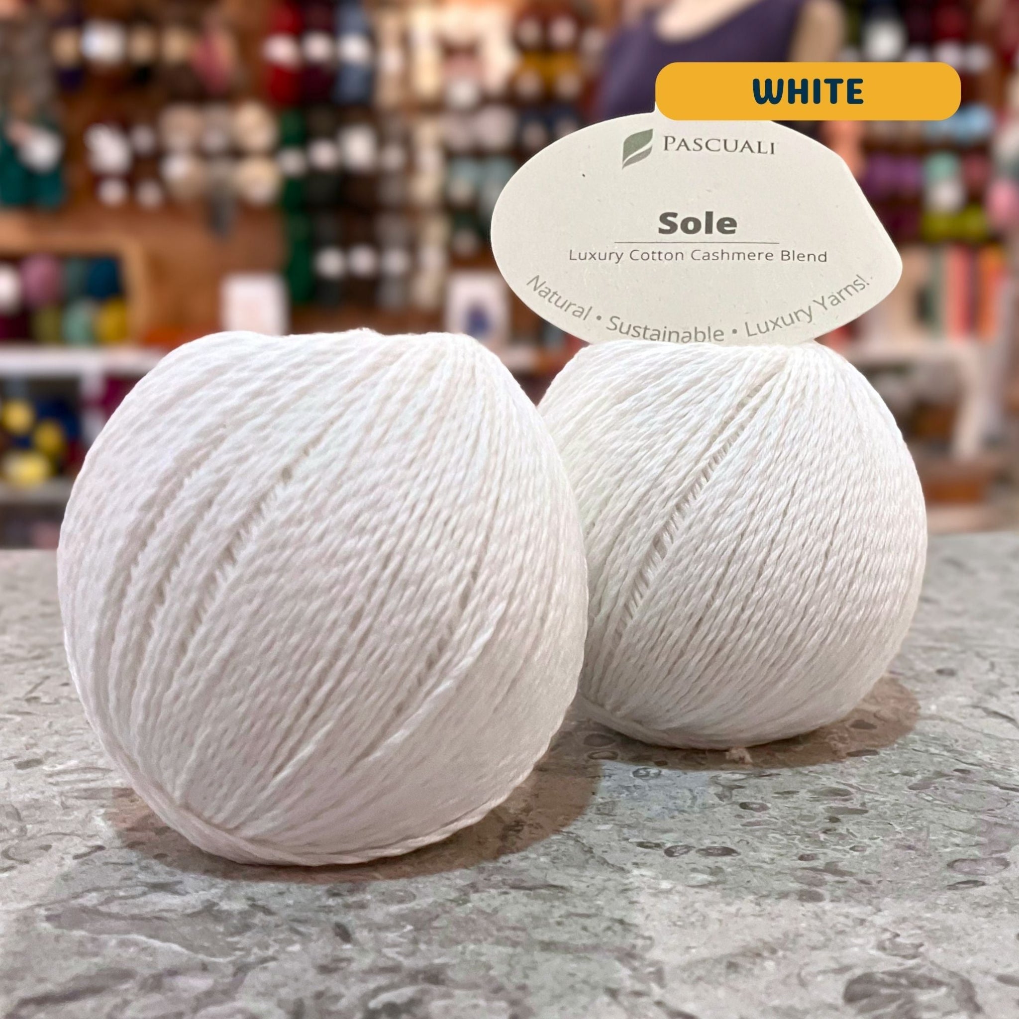 50g bright white cotton & cashmere sport yarn, 'Pascuali Sole Luxury Cotton Cashmere Blend' label visible, craft shop background (blurred)