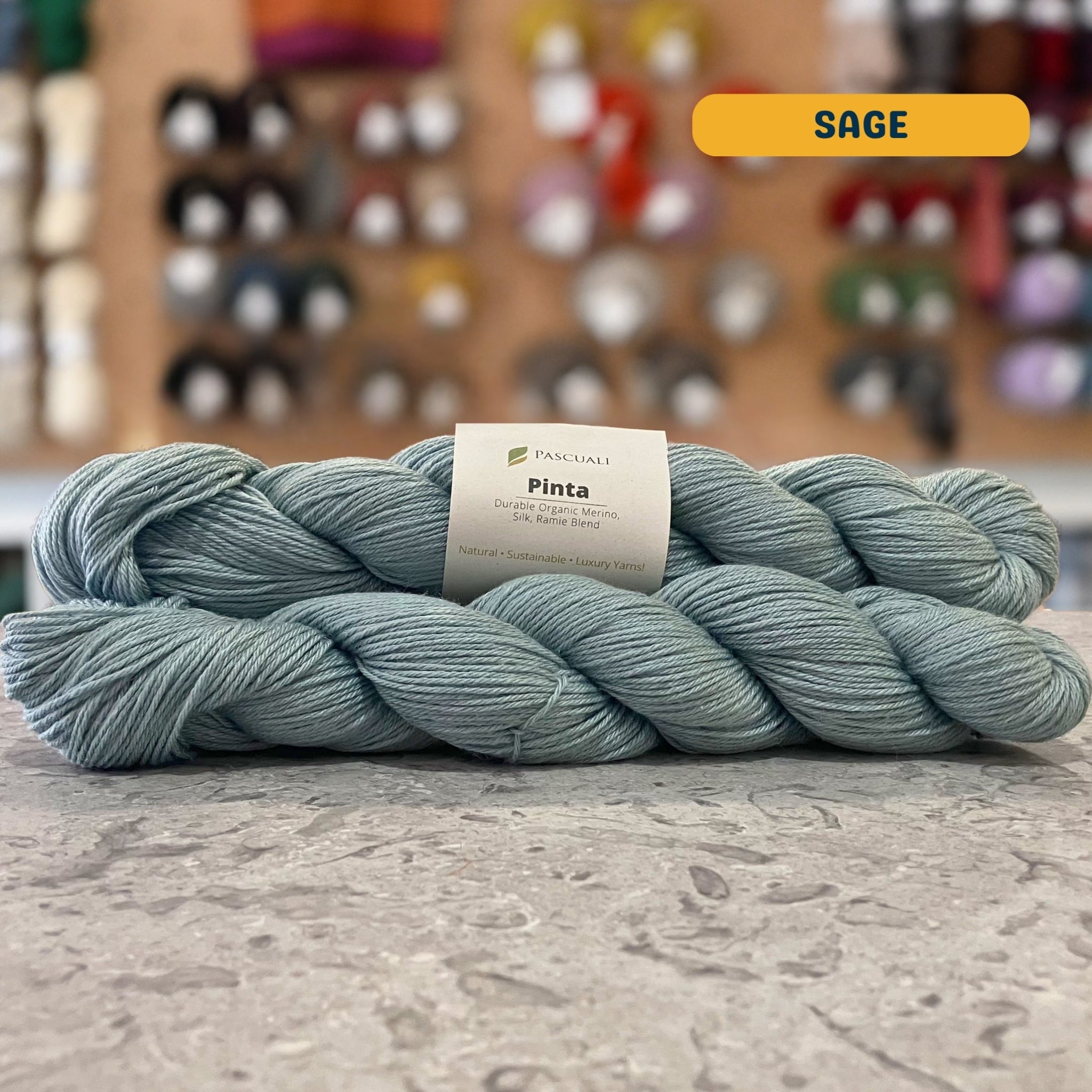 50g light blue (sage) merino, silk, & ramie sock yarn, 'Pascuali Pinta Durable Organic Merino Silk Ramie Blend' label visible, craft shop background (blurred)