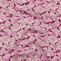 Liberty Fabrics Lasenby cotton — white flowers on bold pink. 44/45in width.
