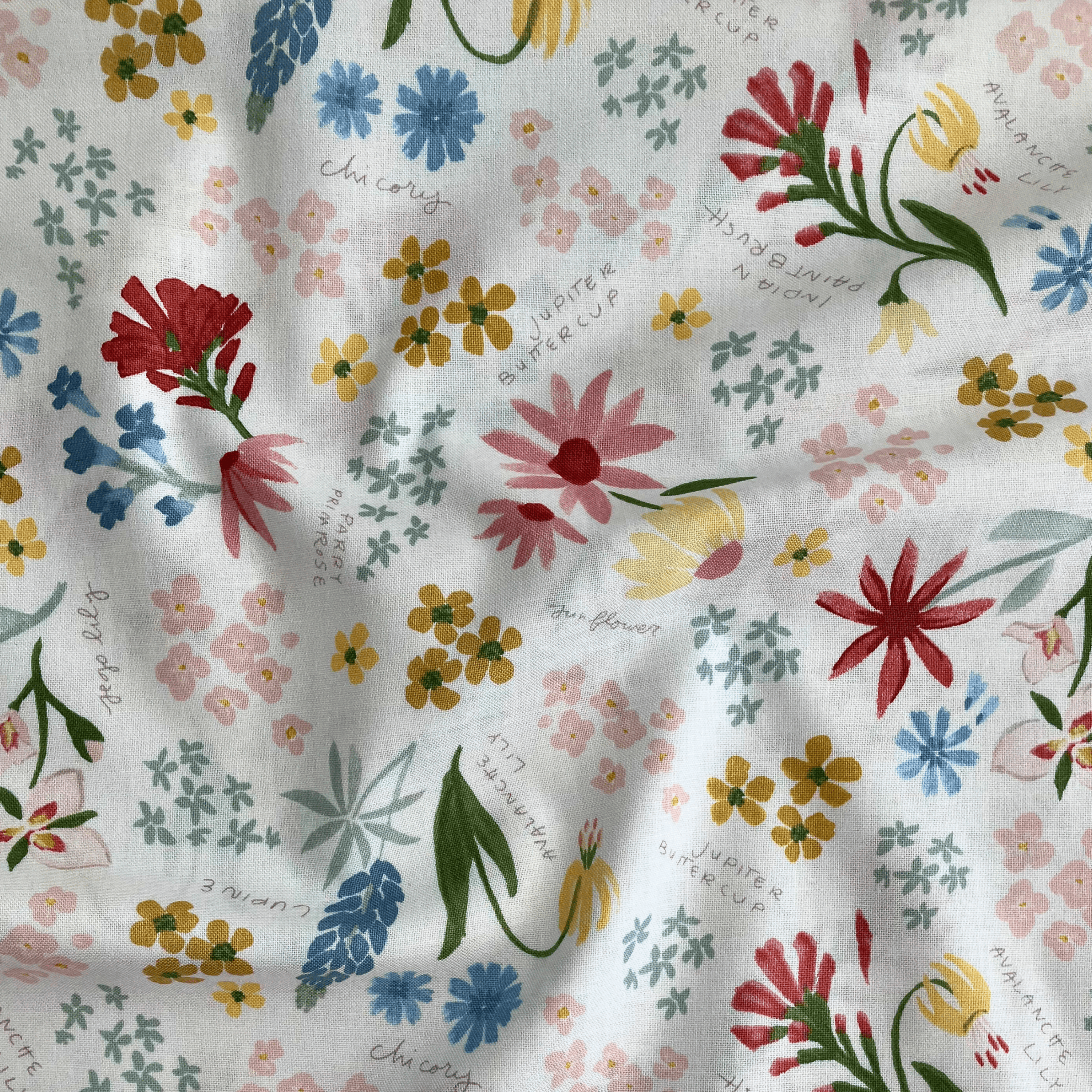 100% cotton quilting fabric — multicoloured labelled flowers on white. 43/44in width.