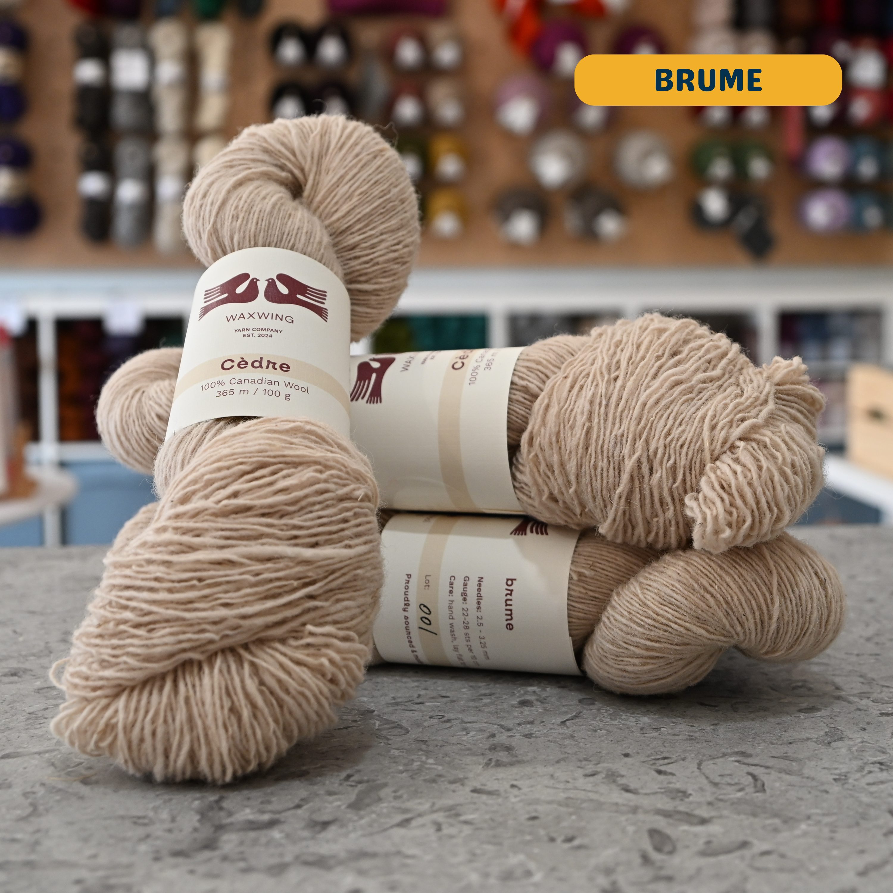 100g beige (brume) canadian wool fingering yarn, 'Waxwing Yarn Company Cèdre' label visible, craft shop background (blurred)