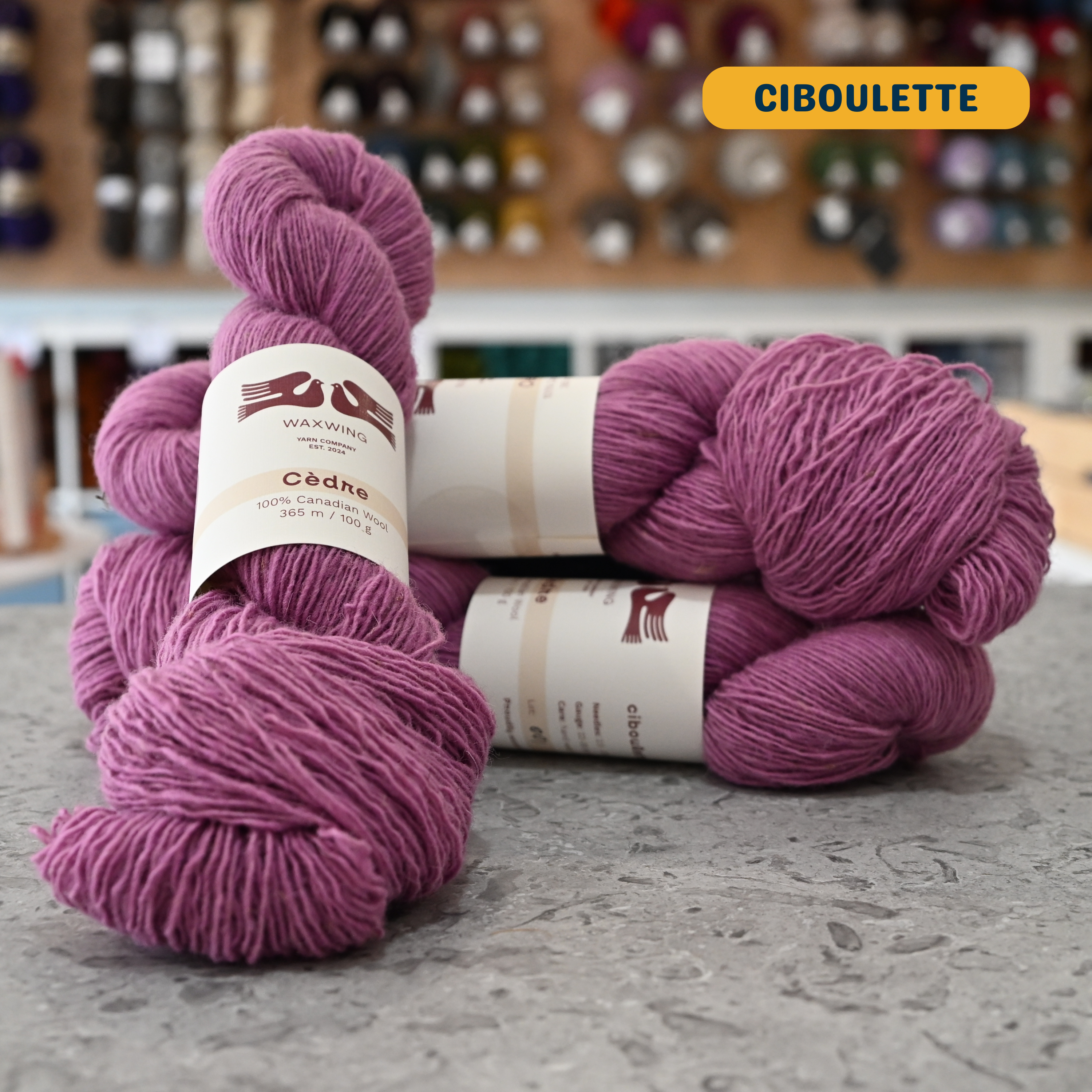 100g pink-purple (ciboulette) canadian wool fingering yarn, 'Waxwing Yarn Company Cèdre' label visible, craft shop background (blurred)