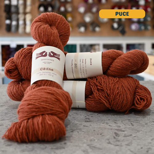 100g terracotta (puce) canadian wool fingering yarn, 'Waxwing Yarn Company Cèdre' label visible, craft shop background (blurred)